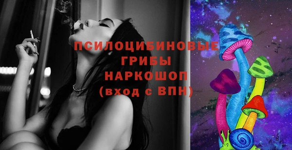 винт Карпинск