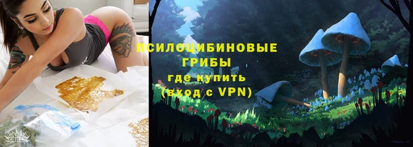 винт Карпинск