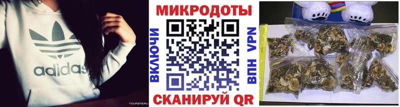 Купить закладки Калач-на-Дону Псилоцибиновые грибы ЛСД